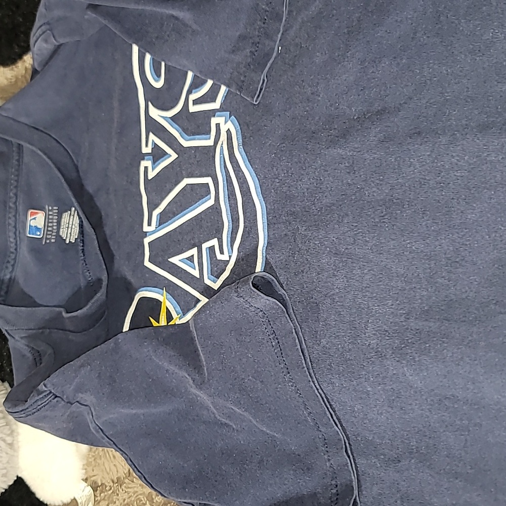 Tampa Bay Rays - Picture 5 of 7